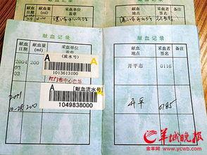 血的证明,揭开历史的残酷真相