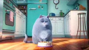 宠物的秘密生活