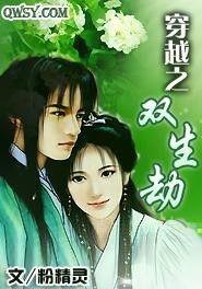 双生劫,命运交织的宿命轮回